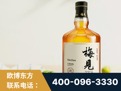 菏泽-梅见青梅酒